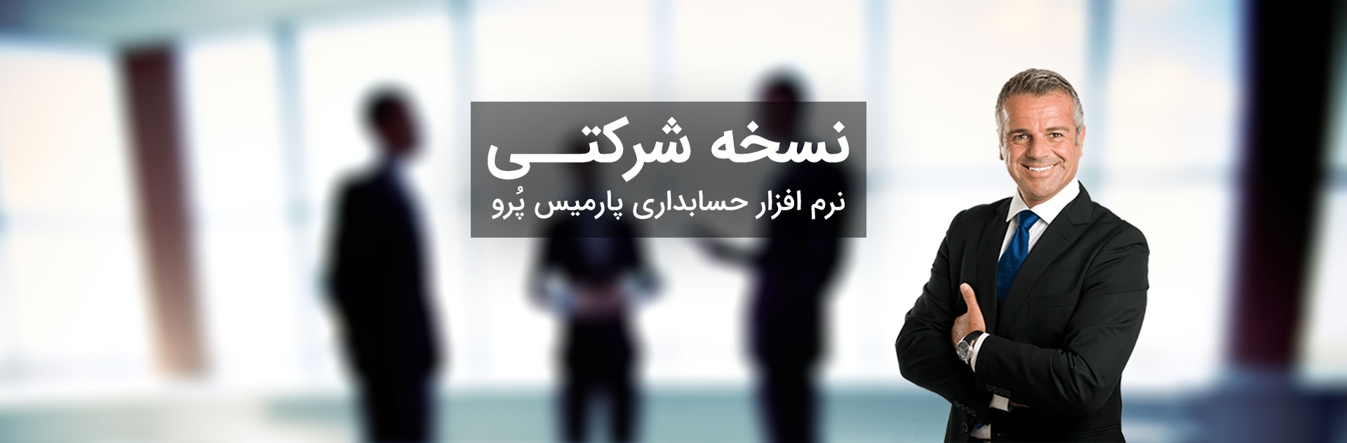 نرم افزار حسابداری شرکتی پارمیس نرم افزار حسابداری شرکتی پارمیس